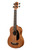 Kala Bakithi Kumalo Signature Acoustic-Electric U•BASS® w/ Gigbag