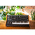 Moog Subsequent 25 Paraphonic Analog Synthesizer