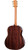 Taylor 50th Anniversary 217e-SB Plus LTD A/E Grand Pacific, Torrefied Sitka Spruce Top, Layered Indian Rosewood Back and Sides w/ Case