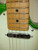 2021 Fender Player Plus Telecaster Electric Guitar, Maple Fingerboard, Wilkinson Bridge, Cosmic Jade w/ Bag - Previously Owned