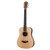 Taylor BT1e Baby Taylor A/E 3/4 Dreadnought, Sitka Spruce Top, Layered Sapele Back and Sides w/ Gig Bag