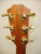 1999 Taylor 714-BCE 25th Anniversary Grand Auditorium Cutaway Acoustic Electric Guitar w/ Case - Previously Owned