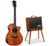 Taylor Circa 74 AV150-10 Amp, Koa  50th Anniversary *Only 74 Made Worldwide