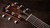Taylor 414ce Studio Grand Auditorium, Sitka Spruce Top, Indian Rosewood Back and Sides w/ Gigbag