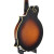 The Loar LM-600-VS Professional F-style Mandolin Vintage Sunburst with Case