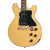 Epiphone Les Paul Special Double Cut Electric Guitar, TV Yellow with Premium Gigbag