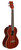 KOHALA AK-TAE Akamai Tenor Acoustic-Electric Ukulele All Mahogany