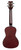 KOHALA Concert Ukulele Pack w/ Bag, Tuner