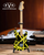 Eddie Van Halen Mini Guitar - EVH Black and Yellow VH2 Bumble Bee *Great Gift Item!
