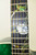 Luna Flora Moonflower Folk Acoustic Electric Guitar, Transparent Mallard - Previously Owned
