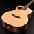 WALDEN B1E Baritone Solid Sitka top Grand Auditorium Baritone-Electric - Satin Natural with Case