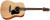 WALDEN D350 Standard Dreadnought Acoustic - Gloss Natural with Bag
