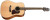 WALDEN D550E Natura Solid Spruce Top Dreadnought Acoustic-Electric - Open Pore Satin Natural with Bag
