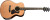 WALDEN G803RE-G Natura All-Solid Sitka/Ovangkol Armrest Grand Auditorium Acoustic-Electric - Gloss Natural with Bag