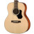 WALDEN O450 Standard Solid Spruce Top Orchestra Acoustic - Gloss Natural wtih bag