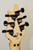 2019 EVH Wolfgang Special Electric Guitar, Black w/ Case - Previously Owned