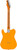 Fender Limited Edition American Professional Classic Telecaster, Roasted Maple Fingerboard, Butterscotch Blonde, w/ Deluxe Gig Bag