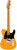Fender Limited Edition American Professional Classic Telecaster, Roasted Maple Fingerboard, Butterscotch Blonde, w/ Deluxe Gig Bag