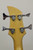 Bad Cat Instruments AC-230 Acrylic Custom 4-String Electric Bass Guitar, Transparent Lucite w/ EMG Pickup - Previously Owned