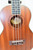 Lohanu LU-T Tenor Ukulele w/ Bag - Previously Owned