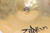 Zildjian A Custom 14" Hi-Hat Cymbals (Pair) - Previously Owned