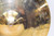 Zildjian A Custom 14" Hi-Hat Cymbals (Pair) - Previously Owned