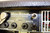 Mesa Boogie Studio .22+ 1x12" Guitar Combo Amp - Previously Owned