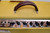 2013 Fender Blues Deluxe Reissue 40-Watt 1x12" Combo Guitar Amp, Tweed - Previously Owned