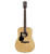 Alvarez Artist Series AD60L Dreadnought Left Handed Guitar