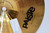 Paiste 10" Signature Splash Cymbal - Previously Owned