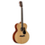 Alvarez Artist Series ABT60 Baritone Acoustic Guitar