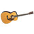 Eric Clapton CF MARTIN 000-28EC Acoustic Guitar w/ Hardshell Case