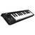 Korg MicroKey25 Ultra-compact USB Controller with 25 Nat