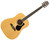 Alvarez RD26 Regent Series Dreadnought Acoustic guitar w/ AGB15A Deluxe Gigbag