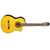 Takamine GC5CENAT Natural Acoustic Guitar