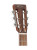 C.F. Martin 15SM Acoustic/Electric Guitar, Mahogany, Softshell Case