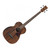 Ibanez PCBE12MH Acoustic Bass, Open Pore Natural