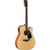 Yamaha FGX820C Acoustic/Electric Guitar