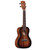 Alvarez Artist Series AU66CSHB Concert Ukulele, Shadowburst Finish