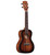 Alvarez Artist Series AU66CSHB Concert Ukulele, Shadowburst Finish