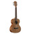 Alvarez Regent Series RU22T Tenor Ukulele, Natural Satin Finish