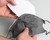 Gator Reusable Face Mask With Pocket For Replaceable Filter In Denim