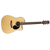 Jasmine JD-36CE Dreadnought AE, Spruce Top, Sapele Back and Sides, Natural Gloss