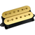 DIMARZIO DP159 Evolution Bridge Pickup - Gold Tops