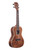 Kala Satin / All Solid Acacia Concert Ukulele