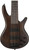 Ibanez GSR 6-String Bass Walnut Flat