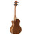 Alvarez Artist Concert Ukulele, Acacia/Acacia, AUE-20, Natural/Semi Gloss