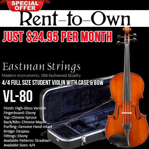 Eastman VL80SBC44 4/4 Student Violin Outfit Includes Bow & Case