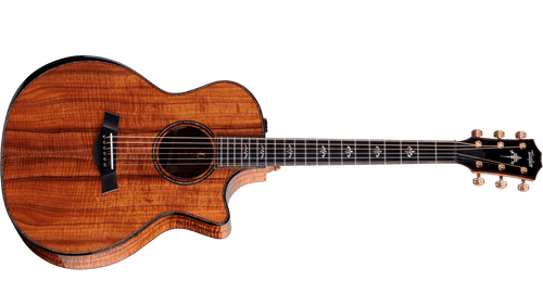 Taylor Limited Edition Builder's Edition 924ce-K 50th Anniversary