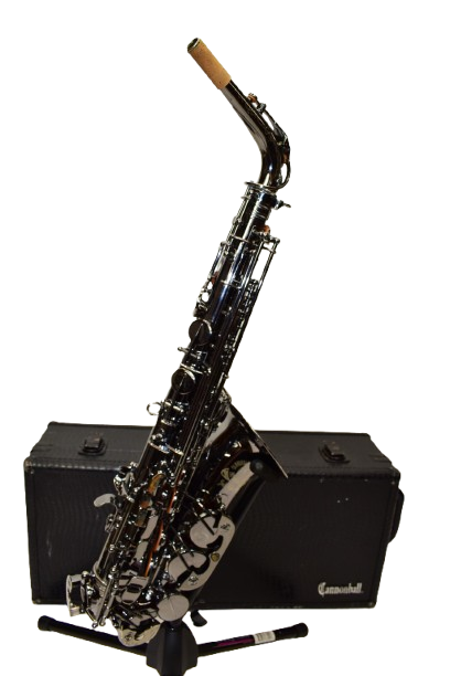 サカナクションNF01 BIG STOLE Cannonball A4 Big Bell Stone Series Standard Alto Saxophone